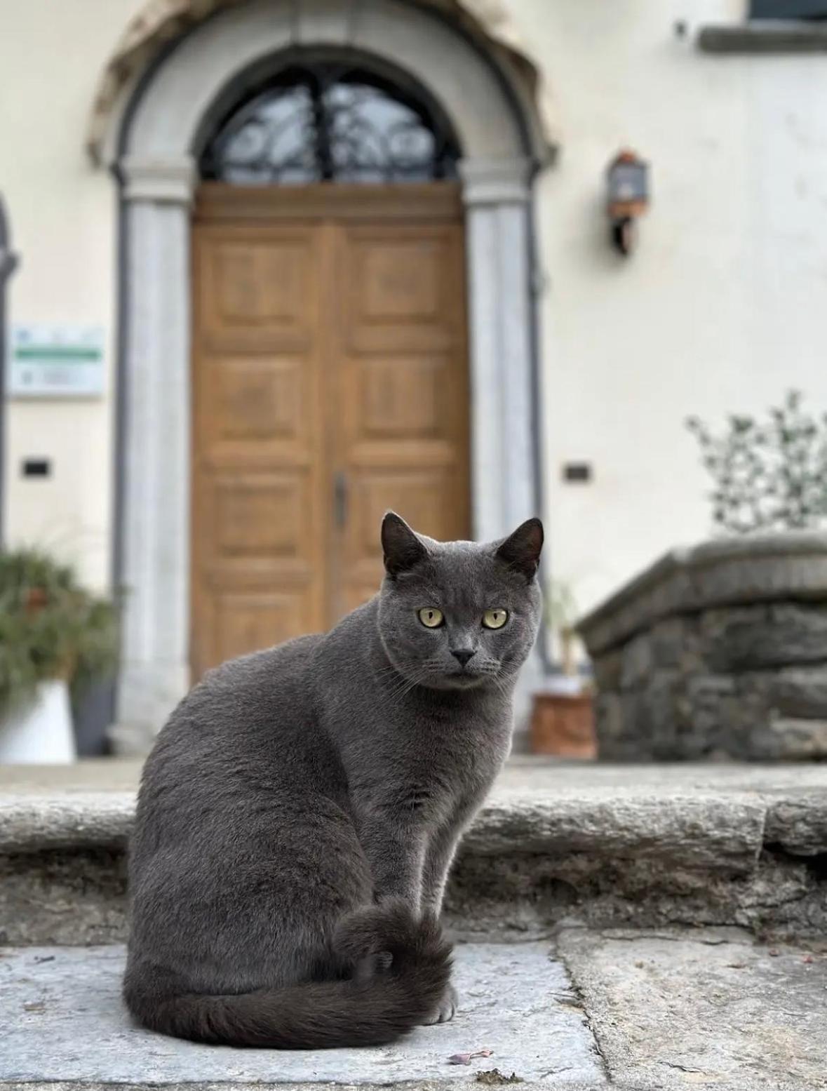 B&B La Dolce Casa Lago Di Como Cremia Extérieur photo